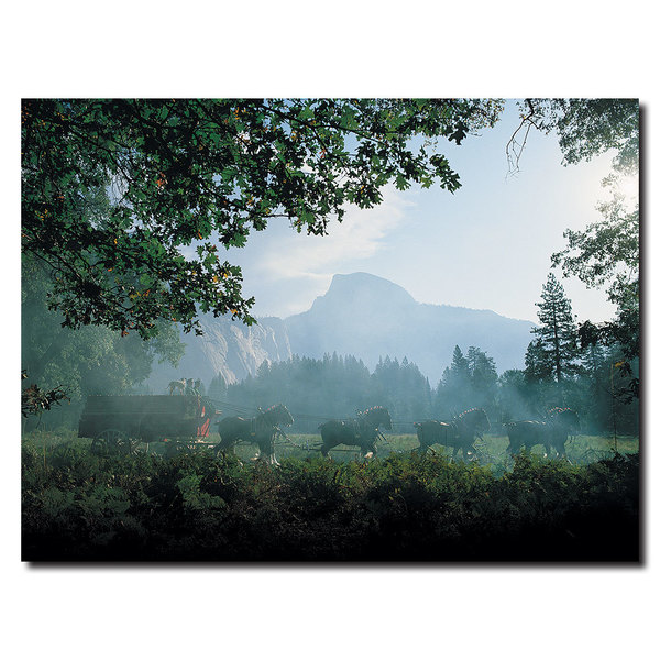 Trademark Fine Art Clydesdales in the Misty Mountains - 18 x 24 Canvas, 18x24 AB271-C1824GG